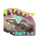 うさぎのももかです。（個別スタンプ：23）