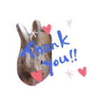 うさぎのももかです。（個別スタンプ：24）