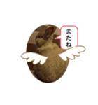 我が家のウサギのももか（個別スタンプ：4）