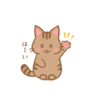 やわねこ(日常)（個別スタンプ：2）