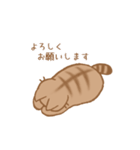 やわねこ(日常)（個別スタンプ：3）