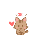 やわねこ(日常)（個別スタンプ：4）