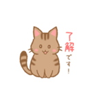 やわねこ(日常)（個別スタンプ：5）
