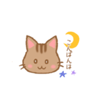 やわねこ(日常)（個別スタンプ：7）