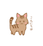 やわねこ(日常)（個別スタンプ：8）