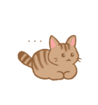 やわねこ(日常)（個別スタンプ：13）