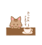 やわねこ(日常)（個別スタンプ：14）
