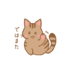 やわねこ(日常)（個別スタンプ：15）