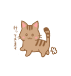 やわねこ(日常)（個別スタンプ：17）