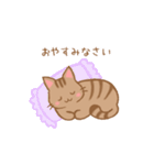 やわねこ(日常)（個別スタンプ：19）
