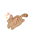 やわねこ(日常)（個別スタンプ：20）