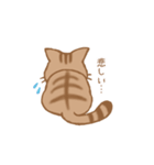 やわねこ(日常)（個別スタンプ：21）