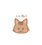 やわねこ(日常)（個別スタンプ：22）