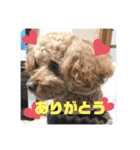 はるくん_20200427221030（個別スタンプ：1）