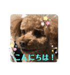 はるくん_20200427221030（個別スタンプ：2）