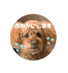 はるくん_20200427221030（個別スタンプ：3）