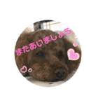 はるくん_20200427221030（個別スタンプ：4）