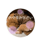 はるくん_20200427221030（個別スタンプ：5）