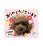 はるくん_20200427221030（個別スタンプ：8）