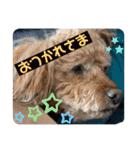 はるくん_20200427221030（個別スタンプ：9）
