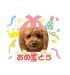 はるくん_20200427221030（個別スタンプ：10）