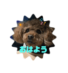 はるくん_20200427221030（個別スタンプ：13）