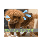 はるくん_20200427221030（個別スタンプ：14）