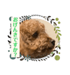 はるくん_20200427221030（個別スタンプ：16）