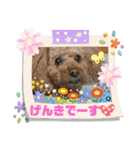はるくん_20200427221030（個別スタンプ：18）