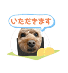 はるくん_20200427221030（個別スタンプ：19）