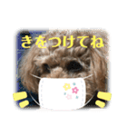 はるくん_20200427221030（個別スタンプ：23）