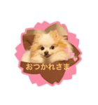 がっちゃんのスタンプ 佐々木がつこ（個別スタンプ：3）