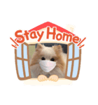 がっちゃんのスタンプ 佐々木がつこ（個別スタンプ：5）