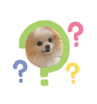 がっちゃんのスタンプ 佐々木がつこ（個別スタンプ：13）