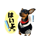 カーメロすたんぷ〜PART3〜（個別スタンプ：4）