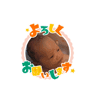魁ちゃん百面相！（個別スタンプ：8）