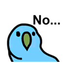 真顔インコスタンプ（個別スタンプ：5）