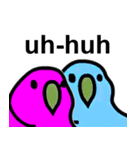 真顔インコスタンプ（個別スタンプ：13）