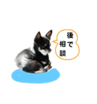 ワンコ その4（個別スタンプ：5）