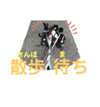 ワンコ その4（個別スタンプ：7）