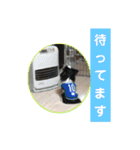 ワンコ その4（個別スタンプ：10）