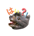 ぽてと一家。（個別スタンプ：1）