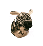 ぽてと一家。（個別スタンプ：2）
