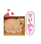 ぽてと一家。（個別スタンプ：6）
