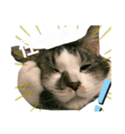 ぽてと一家。（個別スタンプ：7）