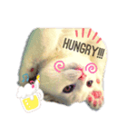 我が家の猫天使たち（個別スタンプ：2）