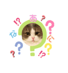 我が家の猫天使たち（個別スタンプ：5）
