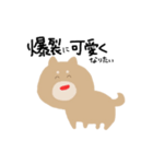 センスある柴犬（個別スタンプ：1）