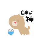 センスある柴犬（個別スタンプ：2）