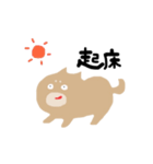 センスある柴犬（個別スタンプ：11）